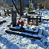 Горбунов Максим Валерьевич