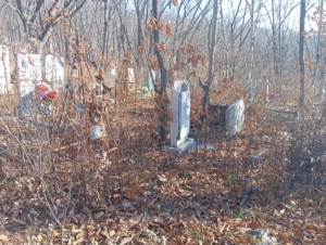 Маслакова Евгения Александровна