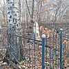Мурзин Владимир Петрович