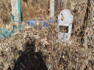 2918715a-03f8-4272-90f4-d1a898554eeb Сайко Михаил Лаврентьевич