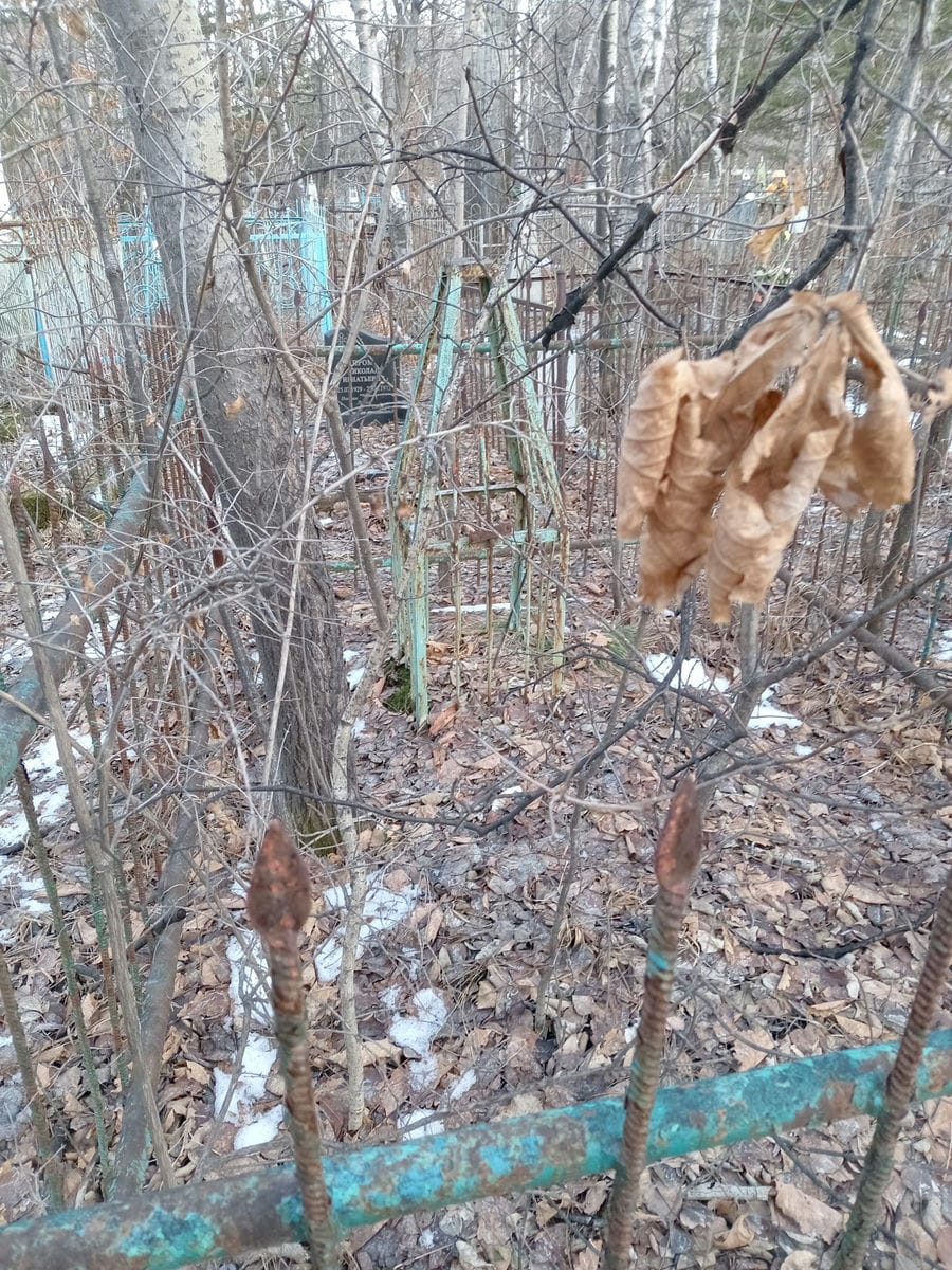 Неизвестно Неизвестно Неизвестно