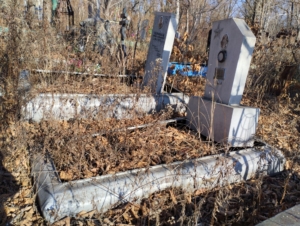 29228fe2-b1f0-45c5-bedc-54b515b52fa6 Брыжин Андрей Николаевич