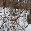 Неизвестно Неизвестно Неизвестно