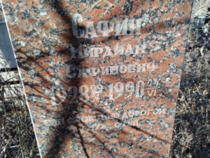 Саин Мирдиан Сафинович