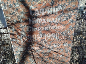 Саин Мирдиан Сафинович