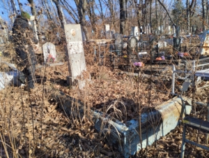 2946e802-3158-4eac-86aa-ccca067422e3 Учаев Андрей Григорьевич