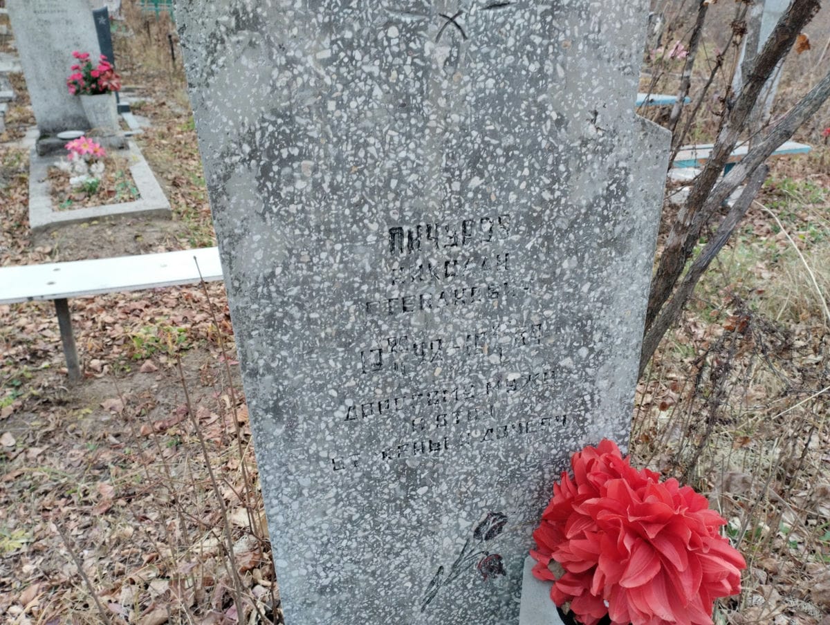 Пичуров Николай Степанович