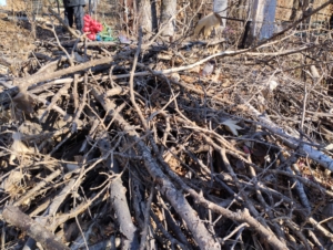 Неизвестно Неизвестно Неизвестно