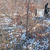 Киселева Евдокия Ивановна