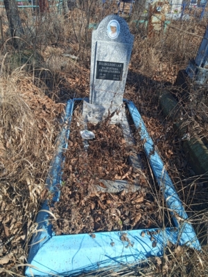 29b1dd98-d01e-4d5c-9f82-fc1ad9381e73 Поболоцкая Валентина Геннадьевна