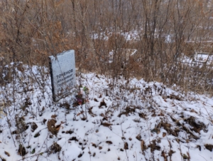 Точенов Владимир Станиславович