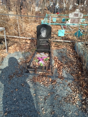 Финогеев Владимир Николаевич