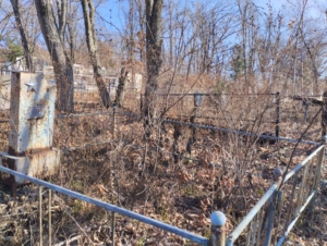 2aa3296f-edc2-47c8-93da-18f70c479e8e Просянкина Ирина Герасимовна