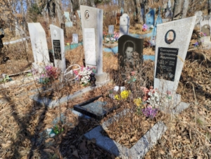2aba42e0-b755-409c-bac8-9b6ca39a38d0 Слесаренко Екатерина Андреевна