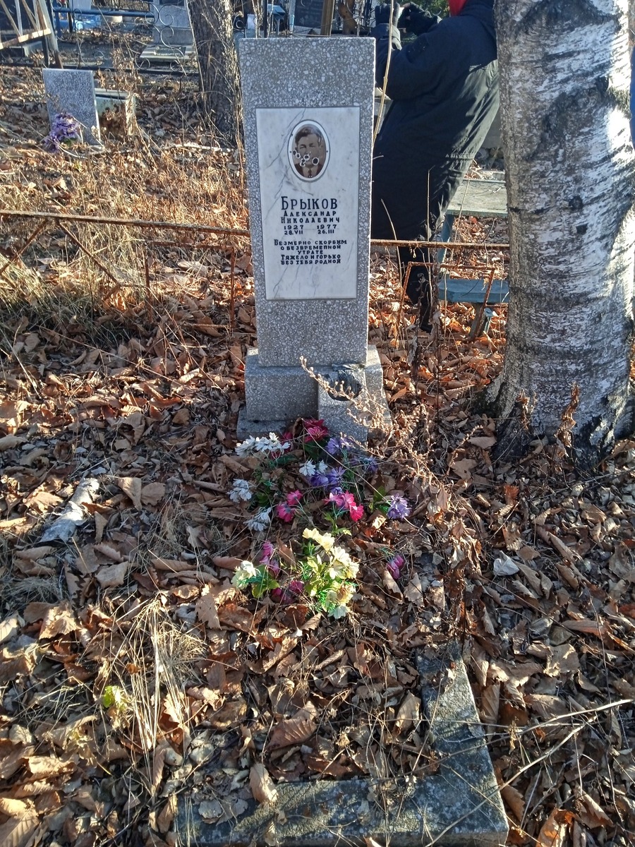 2b0c53d5-2664-42a7-acbc-894320edcf9a Брыков Александр Николаевич