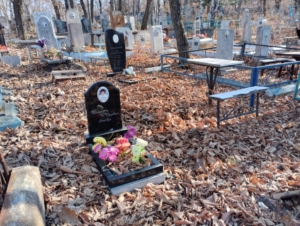 Бреславец Ревэна Пантелеевна
