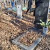Лазаренко Александра Николаевна