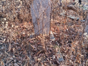 Неизвестно Неизвестно Неизвестно