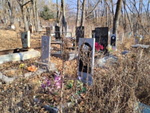 Демченко Семен Терентьевич