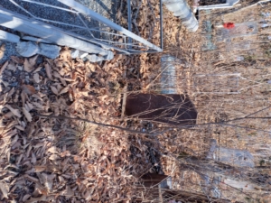 Неизвестно Неизвестно Неизвестно