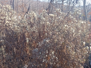 Неизвестно Неизвестно Неизвестно