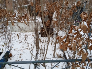 Кутровская Ефросиния Яковлевна