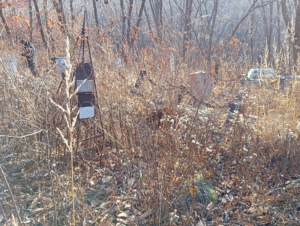 2daaa427-791c-475f-9767-478dffb2256a Лукашевич Владимир Петрович