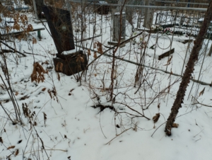 Неизвестно Неизвестно Неизвестно