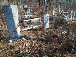 Шевченко Александр Николаевич