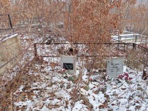 2ed90c69-965f-4537-8597-28c847050998 Зелецкий Максим Александрович