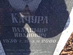 Качура Владимир Иванович
