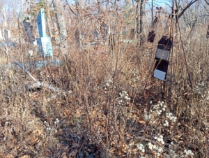 2fa3606e-0cb8-4c6f-8998-532a8d51206e Лукашевич Владимир Петрович