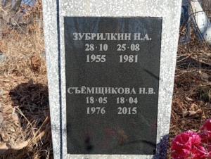 2fe25ca2-a06f-48a1-a4df-8136ec68fdaf Съемщиков Н В