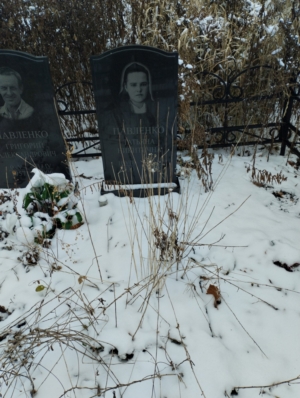 304e0829-4631-4610-8ee8-e9cd37b939c9 Павленко Татьяна Никитична