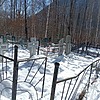 Балушкина Юлия Васильевна