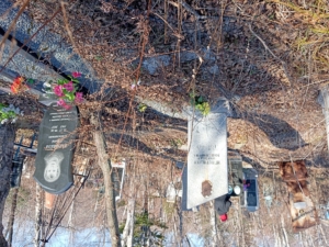 Игнатенко Николай Максимович