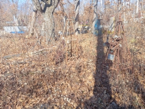 Маслакова Евгения Александровна