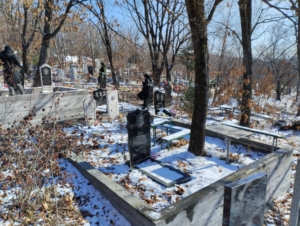 31347623-3eee-4905-bce4-f0fa9763b0b2 Белов Сергей Николаевич