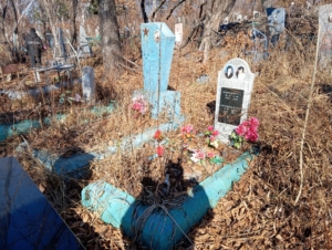 31970023-2ded-4a1f-9839-13b64e7c1c1e Съемщиков Н В