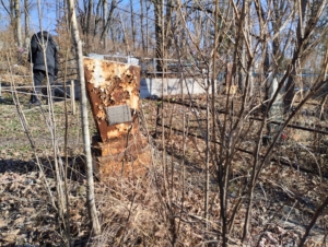 Козлов Юрий Васильевич