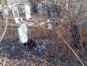 31e0c711-ff7a-4414-bcb9-9116a9f2c454 Шиганбаев Кирилл Русланович