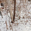 Неизвестно Неизвестно Неизвестно