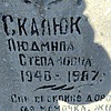 Скалюк Людмила Степановна