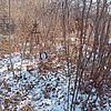 Лучков Виктор Яковлевич
