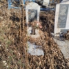 Бессонова Наталья Константиновна