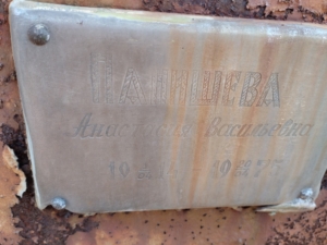 Панишева Анастасия Васильевна