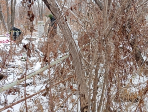 Неизвестно Неизвестно Неизвестно