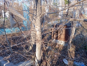 33390b75-347c-49d9-906c-7e51baece724 Неизвестно Неизвестно Неизвестно