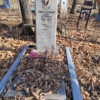 Навальный Егор Петрович
