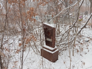33f40a25-93c4-43c2-8bb1-4bd1ad548bf1 Селедкова Надежда Александровна